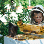 How Long Does Royal Honey Last?