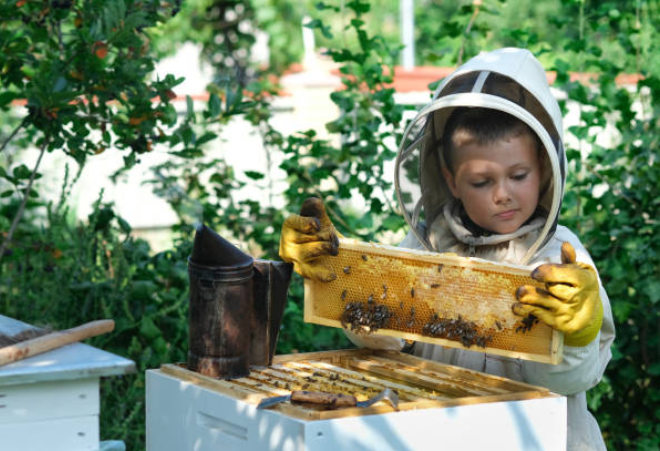 How Long Does Royal Honey Last?